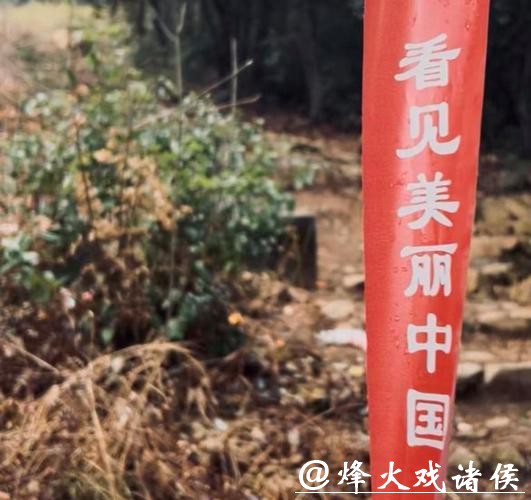 数量翻倍，热门线路很快售罄！“毛孩子旅行团”火了，春节宅家不如出门度假